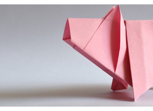 Les différences entre les aliments cellulaires et les produits animaux issus de l'élevage