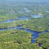 L'Amazonie, le « poumon » de la Terre ?