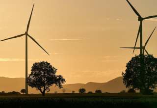 Éoliennes et élevage : la géobiologie, une pseudo-science étrangement invoquée