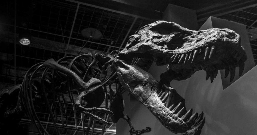 La renaissance des dinosaures de Xabier Pereda-Suberbiola, paléontologue